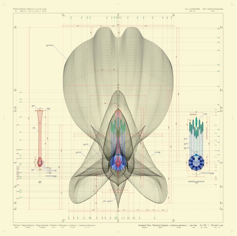 Illustration for article titled Intricate, Ultra-Accurate Blueprints of Botanical Life